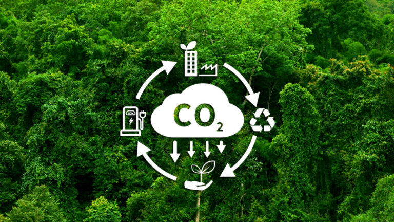 Carbon neutral vs. Net zero